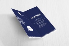 Jongen met vliegertje